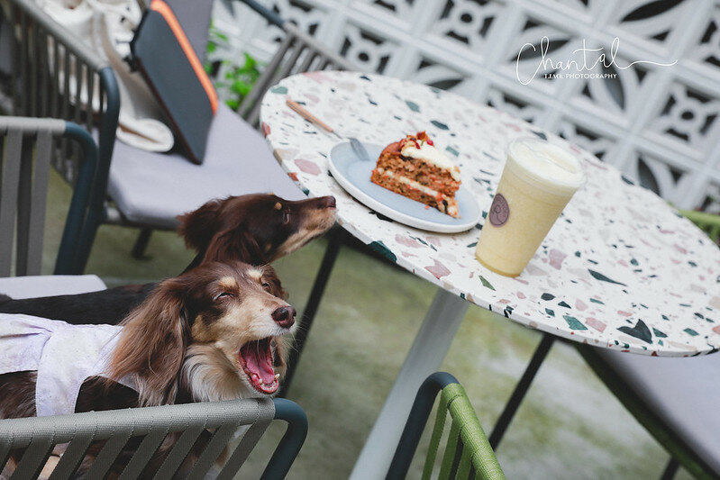 _J6A8722-2 拷貝 _J6A8722-2 拷貝