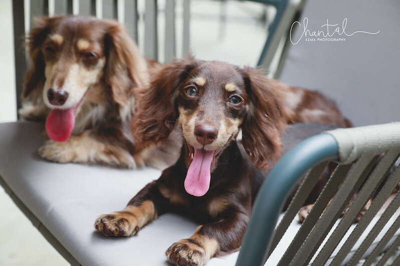 _J6A8774-2拷貝 拷貝 _J6A8774-2拷貝 拷貝