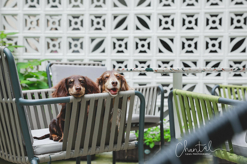 _J6A8677-2拷貝 拷貝 _J6A8677-2拷貝 拷貝