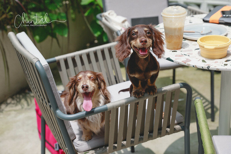 _J6A8793-2拷貝 拷貝 _J6A8793-2拷貝 拷貝