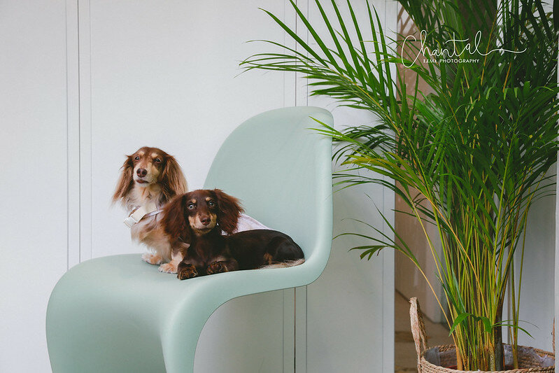 _J6A8710-2拷貝 拷貝 _J6A8710-2拷貝 拷貝