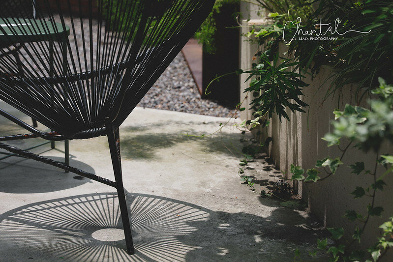 _J6A8768-2 拷貝 _J6A8768-2 拷貝