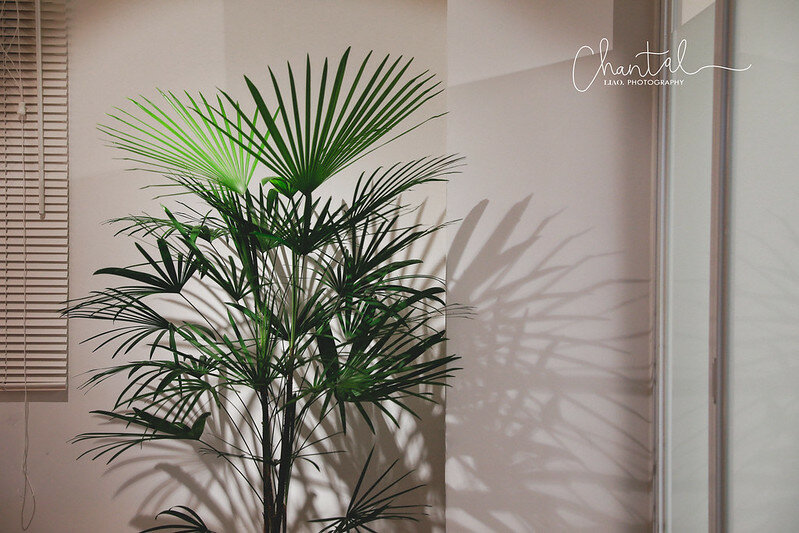 _J6A8810-2 拷貝 _J6A8810-2 拷貝