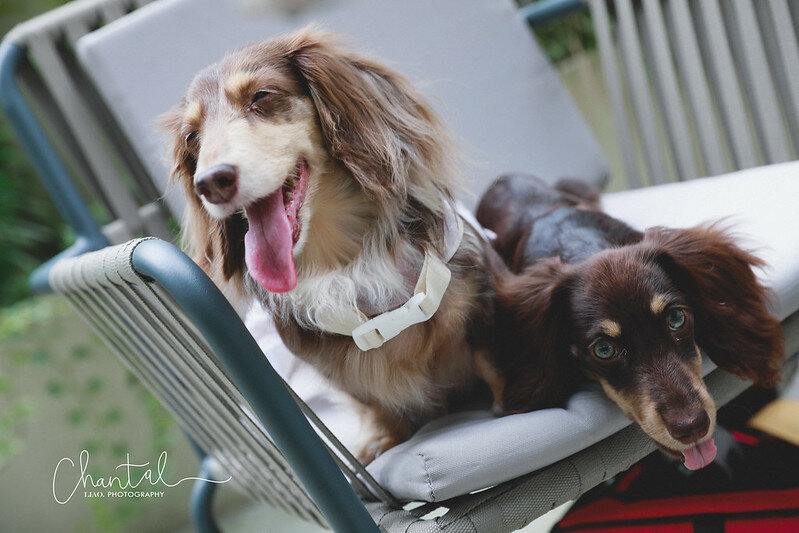 _J6A8749-2拷貝 拷貝 _J6A8749-2拷貝 拷貝