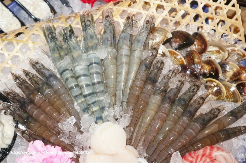 台灣火鍋第一品牌-肉多多火鍋桃園春日店大變身 超人氣排隊名店 "熟成肉肉元宇宙"菜單新上市 蔬食自助吧無限吃到飽