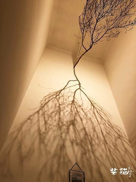 IMG_6125.jpg IMG_6125.jpg