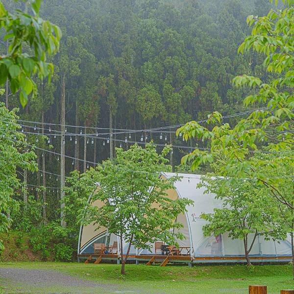 新竹縣 五峰鄉 蟬說:霧繞 網美露營 16.jpeg