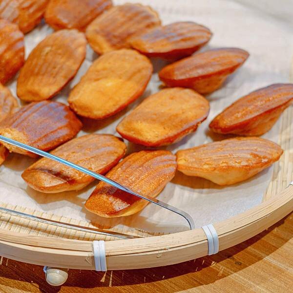 新竹縣 五峰鄉 蟬說:霧繞 網美露營 25.jpeg