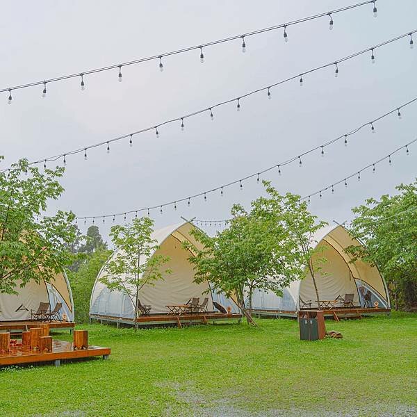 新竹縣 五峰鄉 蟬說:霧繞 網美露營 9.jpeg