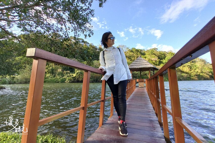 桃園景點／三坑自然生態公園－龍潭大漢溪畔親子野餐地，絕美湖色與精彩地景細說樟之路