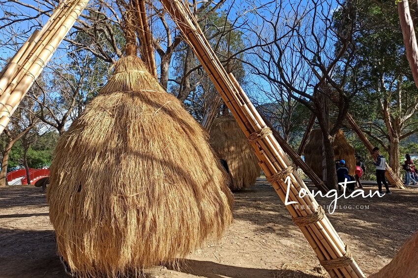 桃園景點／三坑自然生態公園－龍潭大漢溪畔親子野餐地，絕美湖色與精彩地景細說樟之路