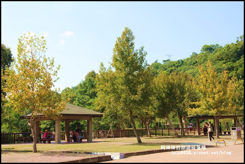 三坑生態公園24.JPG
