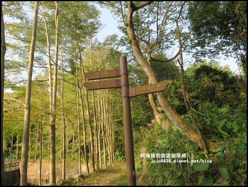 三坑生態公園68.JPG