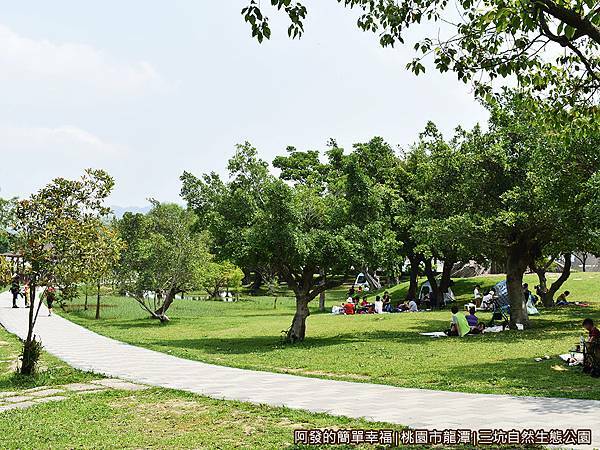 三坑自然生態公園20-綠意盎然.JPG