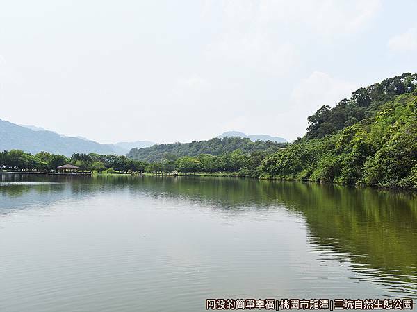三坑自然生態公園05-廣大又美麗的生態湖.JPG