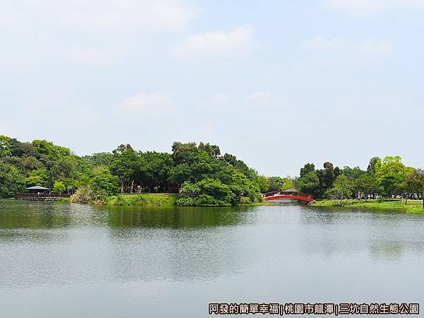 三坑自然生態公園24-十分秀麗的生態湖畔風光.JPG