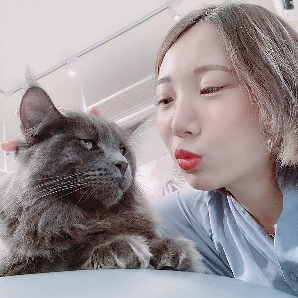 台北 大同區 紅玥緬因貓咖啡藝廊 9.jpeg