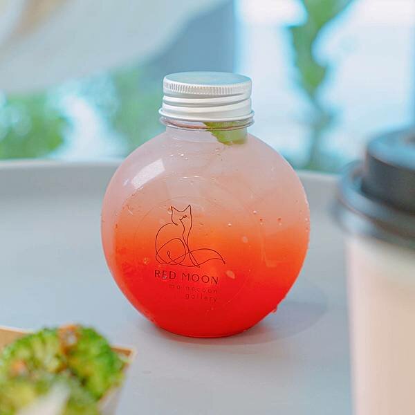 台北 大同區 紅玥緬因貓咖啡藝廊 16.jpeg