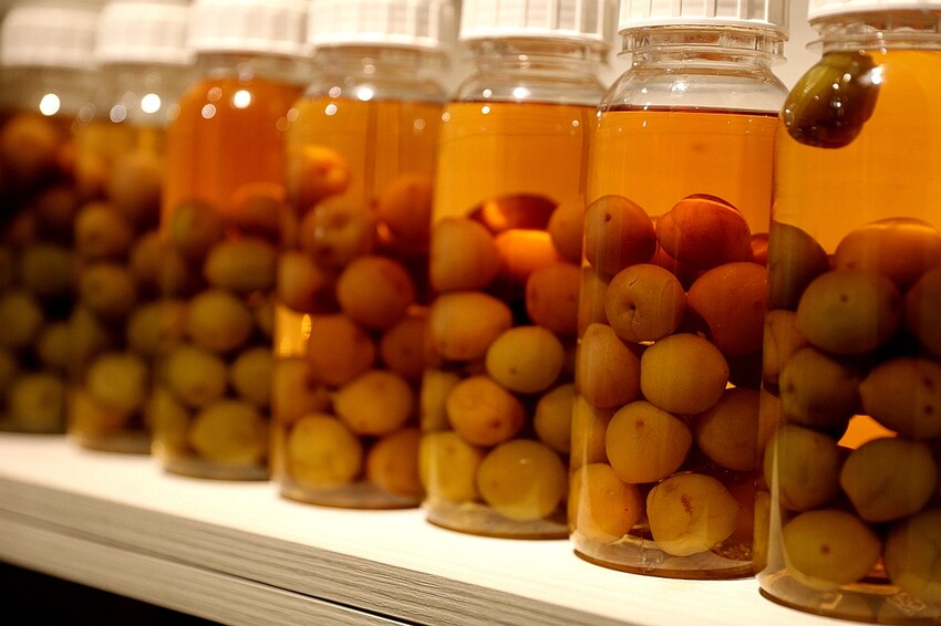 來碗用料實在、暖胃暖心的港式燉湯吧！激推臘味蘿蔔糕、煲仔蒸飯滿足味蕾｜奉湯(台中港式燉湯、湯品)