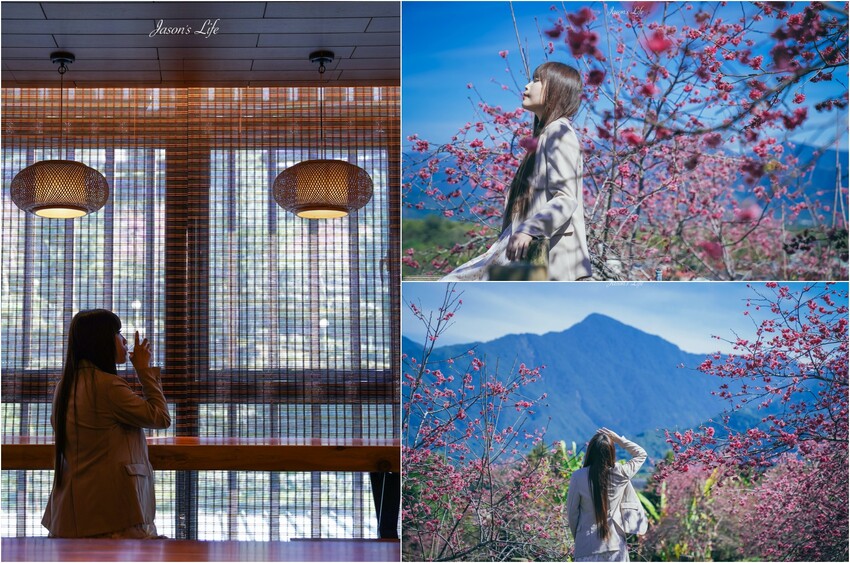 【南投魚池｜美食】湖の怪物。日月潭下午茶推薦，三隻湖怪紅龜粿討喜好吃，日式建築好拍