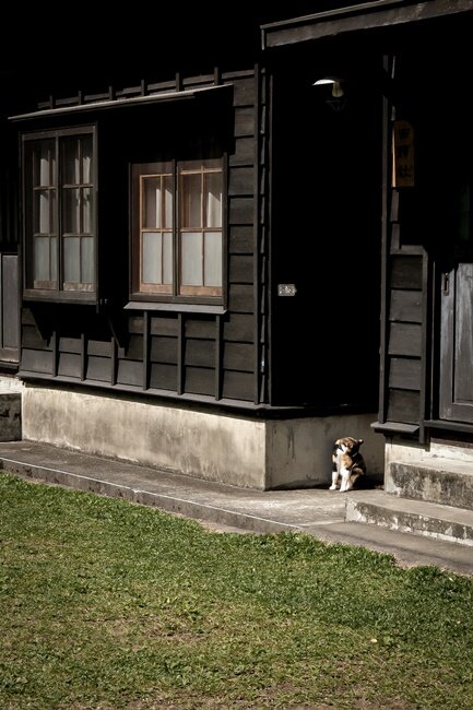 偽出國秘境!一秒飛日本京都,還有現烤小湖怪紅龜粿,沒預約吃不到唷!!