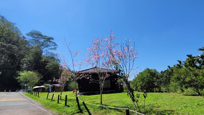 偽出國秘境!一秒飛日本京都,還有現烤小湖怪紅龜粿,沒預約吃不到唷!!