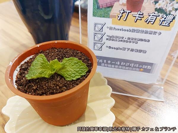 糰子22-盆栽奶酪.jpg 糰子22-盆栽奶酪.jpg