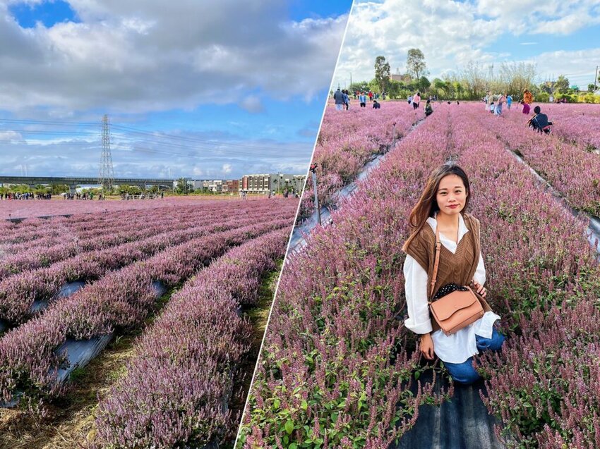【桃園龜山美食】道穎小館川菜台菜料理，在地人推薦的巷弄隱藏美食！(附菜單)