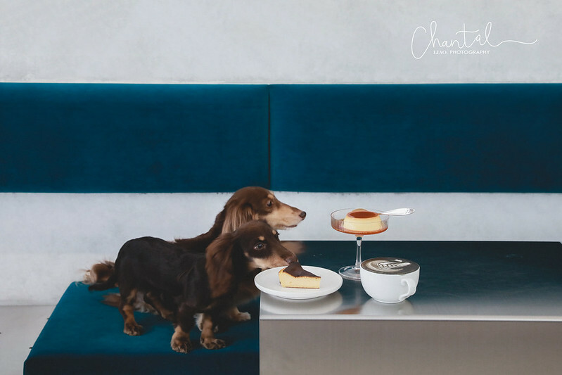 _J6A3466-2 拷貝 _J6A3466-2 拷貝