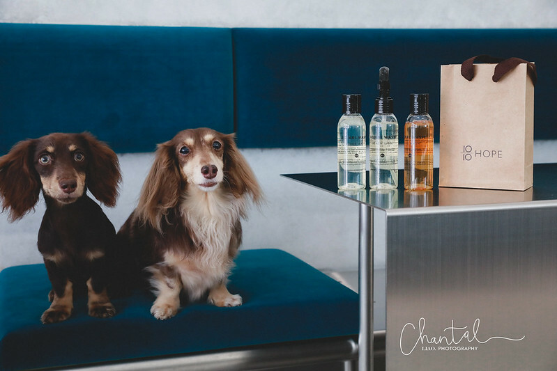 _J6A3387-2 拷貝 _J6A3387-2 拷貝