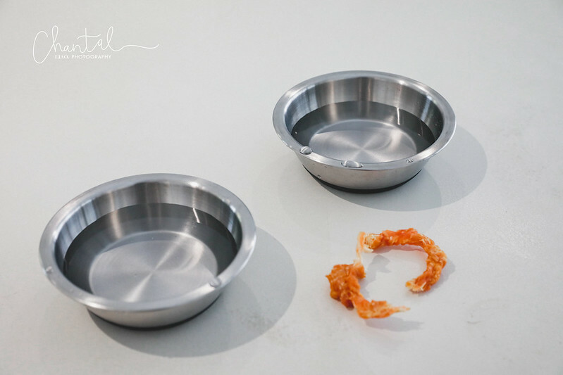 _J6A3377-2 拷貝 _J6A3377-2 拷貝