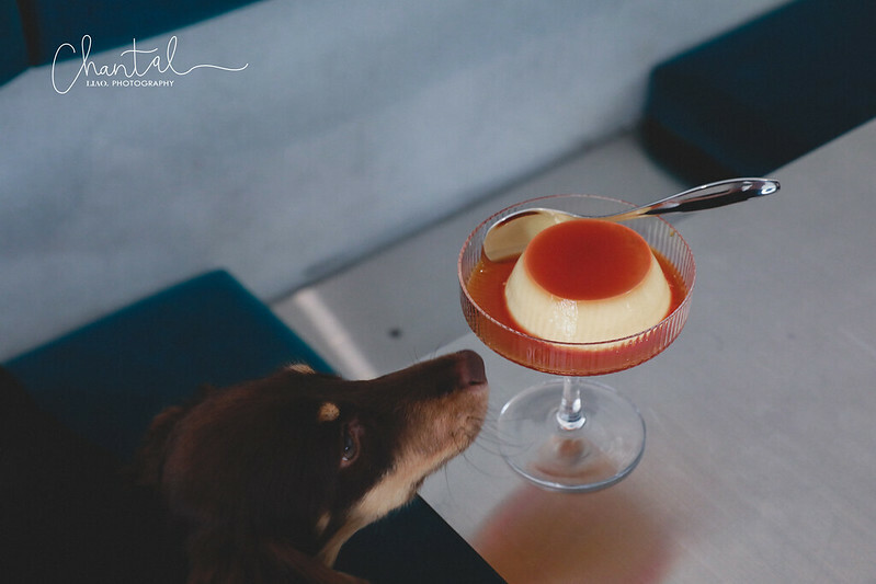 _J6A3471-2 拷貝 _J6A3471-2 拷貝