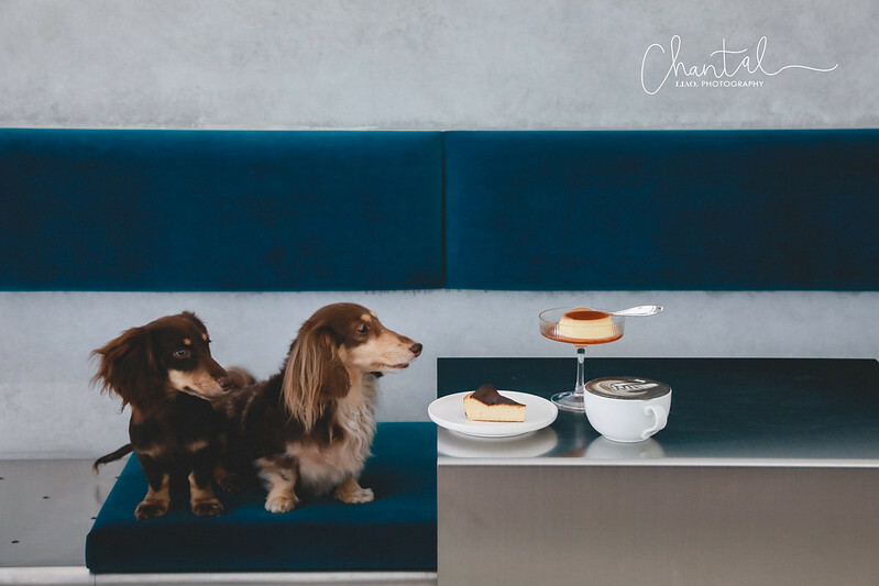 _J6A3455-2 拷貝 _J6A3455-2 拷貝