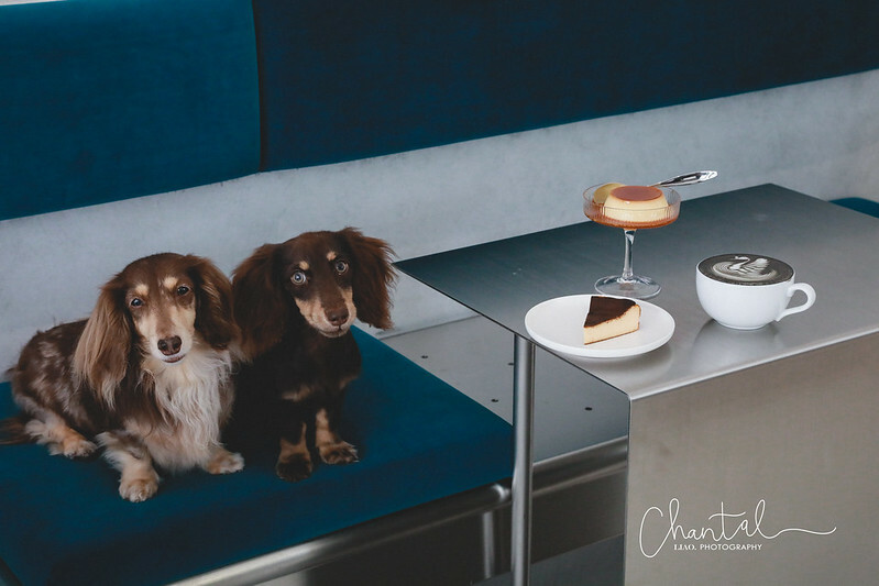 _J6A3435-2 拷貝 _J6A3435-2 拷貝