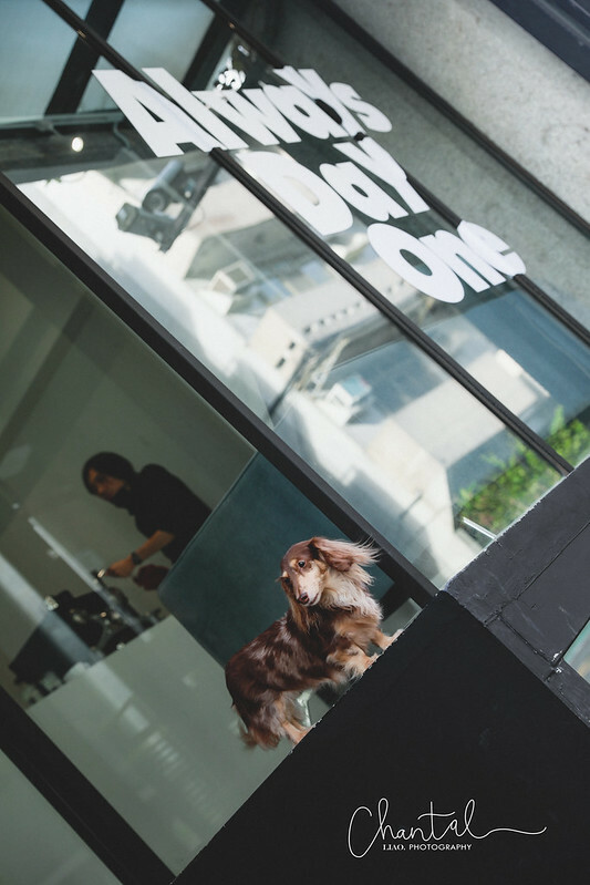 _J6A3540-2 拷貝 _J6A3540-2 拷貝