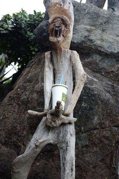 _DSF8860.jpg _DSF8860.jpg