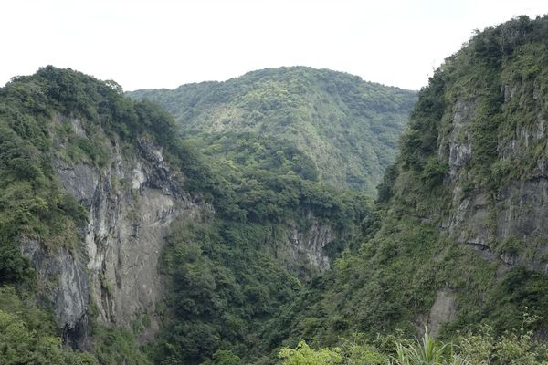 _DSF8889.jpg _DSF8889.jpg