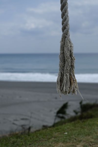 _DSF8877.jpg _DSF8877.jpg