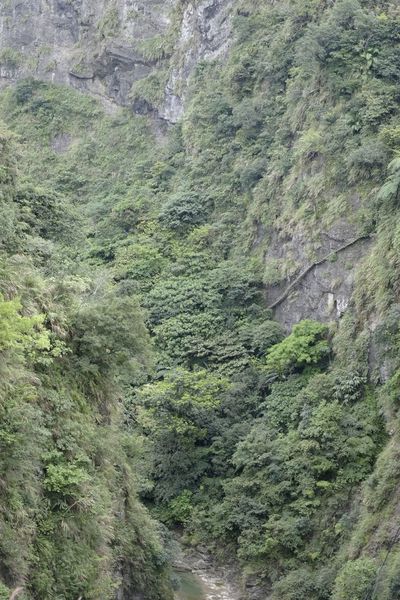 _DSF8892.jpg _DSF8892.jpg