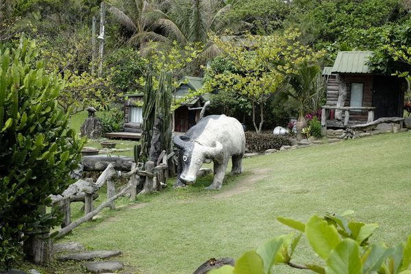 _DSF8867.jpg _DSF8867.jpg