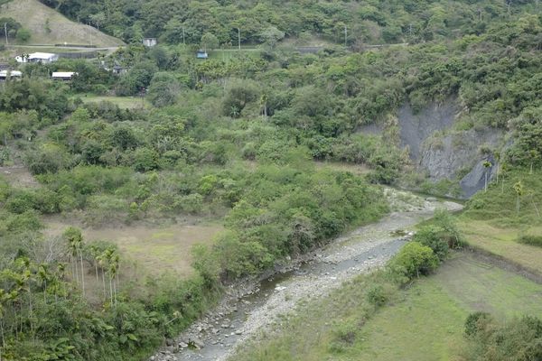 _DSF8893.jpg _DSF8893.jpg