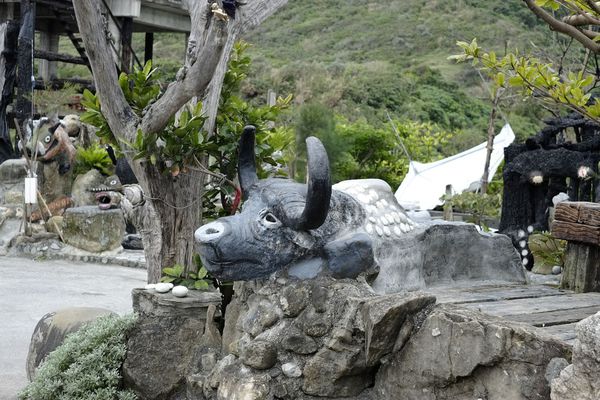 _DSF8863.jpg _DSF8863.jpg