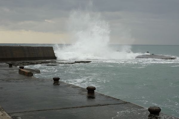 _DSF8845.jpg _DSF8845.jpg