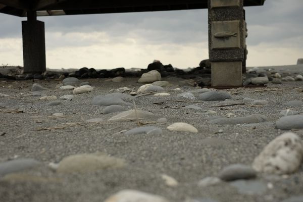 _DSF8853.jpg _DSF8853.jpg