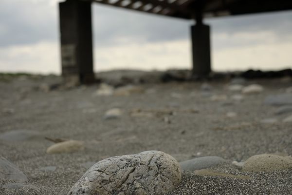 _DSF8854.jpg _DSF8854.jpg