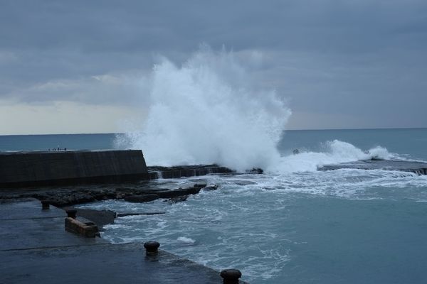 _DSF8823.jpg _DSF8823.jpg