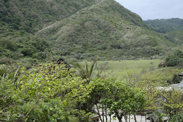 _DSF8872.jpg _DSF8872.jpg