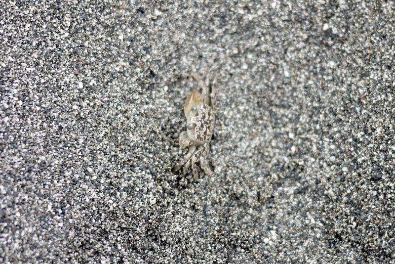 P1580646.jpg P1580646.jpg