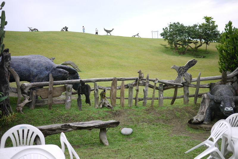 P1580605.JPG P1580605.JPG