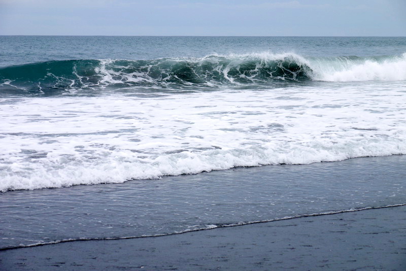 P1580744.JPG P1580744.JPG